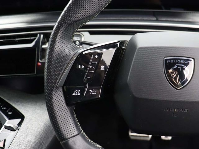 Peugeot E-3008