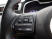 MG MG ZS 